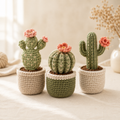 October Rainbow Crochet Cactus Pot