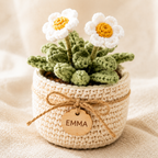 Personalized Crochet Daisy Pot