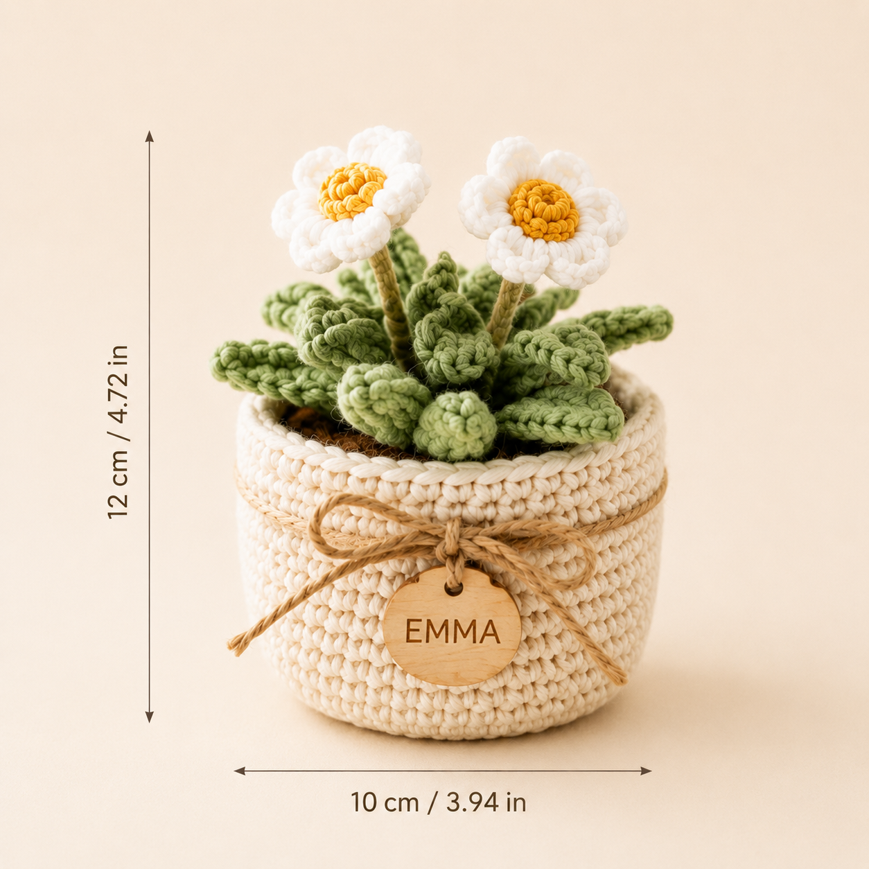 Personalized Crochet Daisy Pot